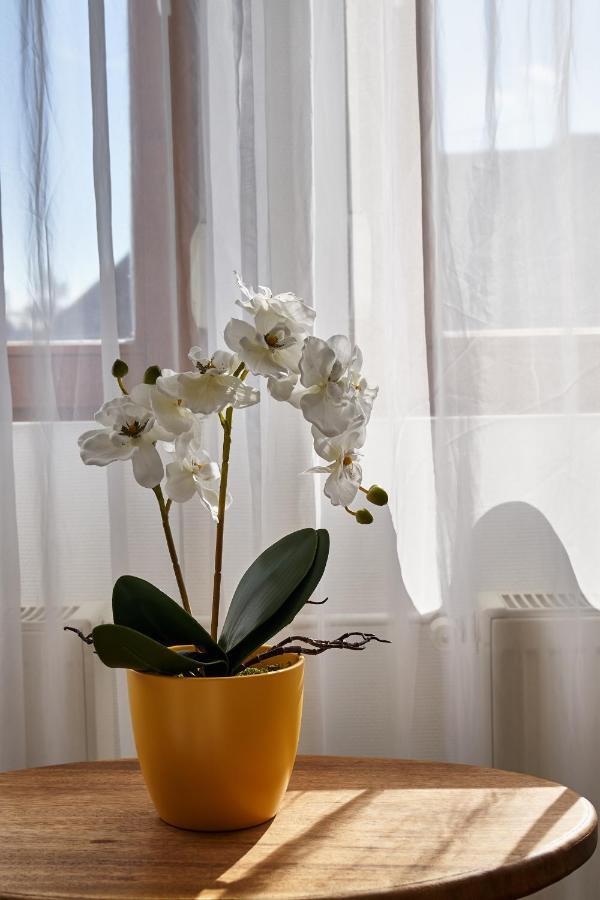 Warm & Friendly Ii. Apartment